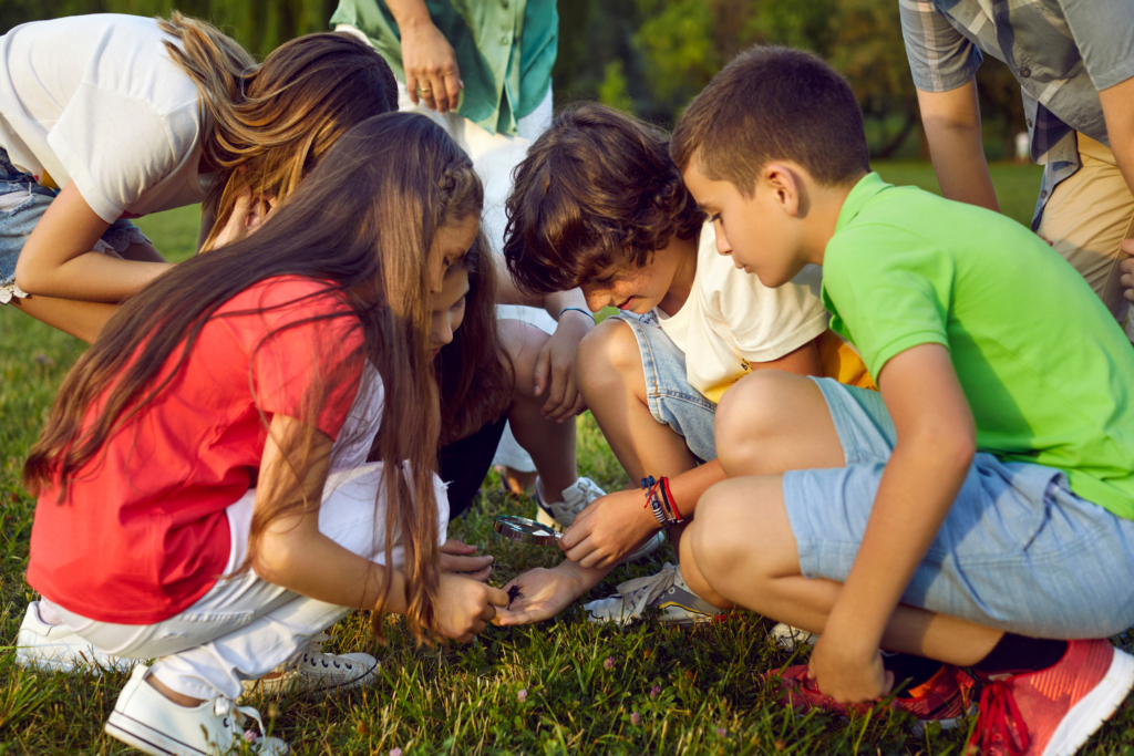 Children exploring wonders of nature. Group of happy elementary school kids who are learning about environment and doing research project together go to the park and study insects in the green grass